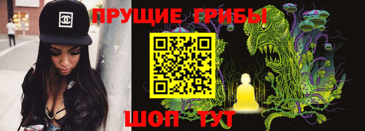 Псилоцибиновые грибы Psilocybine cubensis  Вход с VPN  Котлас  Псилоцибиновые грибы MAGIC MUSHROOMS 